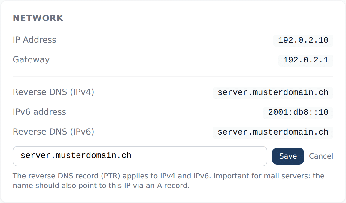 Network card in the vServerPanel with reverse DNS for IPv4 and IPv6