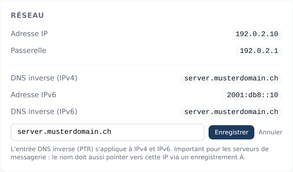 Carte Réseau dans le vServerPanel avec le DNS inverse pour IPv4 et IPv6