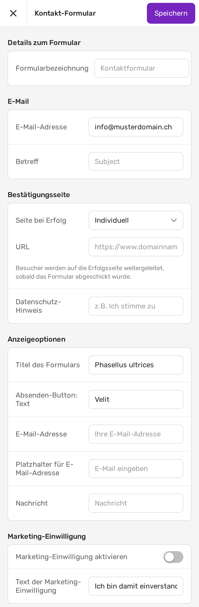 Einstellungen eines SiteDesigner-Formulars mit grauen, leeren Feldern